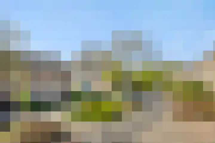 Linge 17 Deurne thumbnail 40