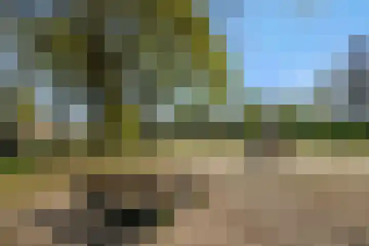 Linge 17 Deurne thumbnail 41