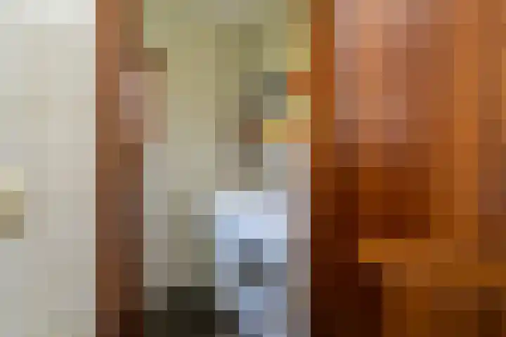 Linge 20 a Tilburg thumbnail 21