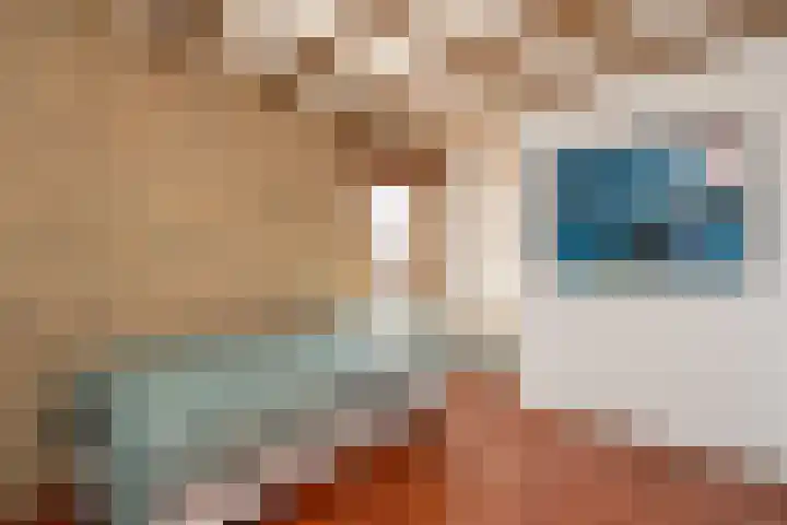 Linge 20 a Tilburg thumbnail 33