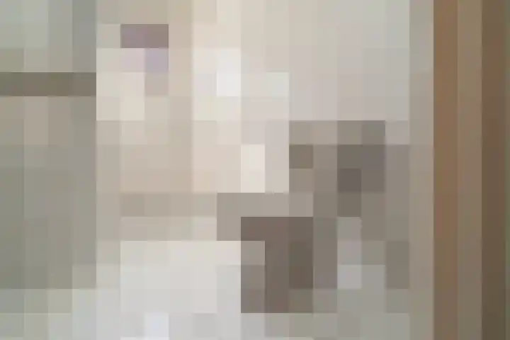 Linge 20 a Tilburg thumbnail 37
