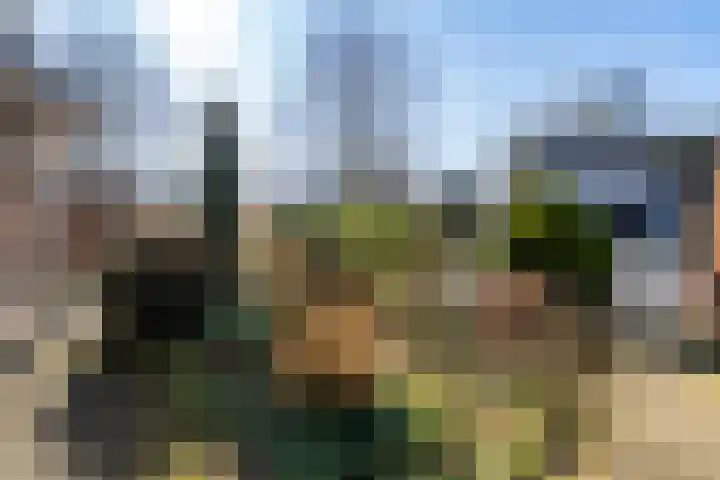 Linge 20 a Tilburg thumbnail 4