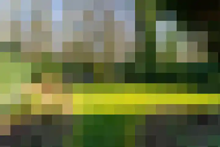 Linge 20 a Tilburg thumbnail 40