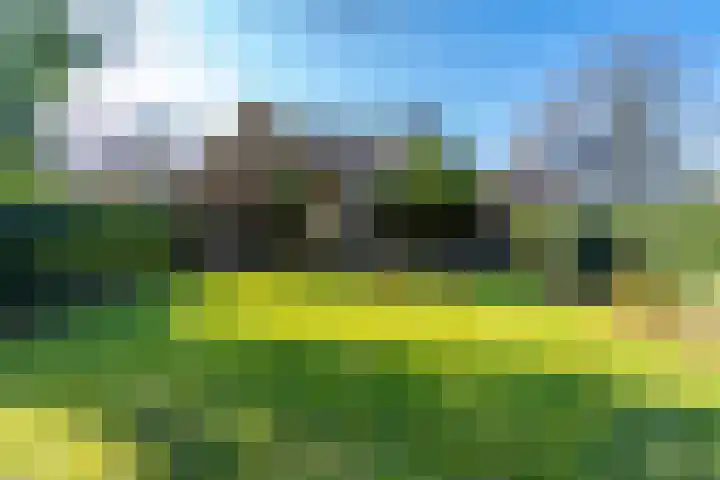 Linge 20 a Tilburg thumbnail 41