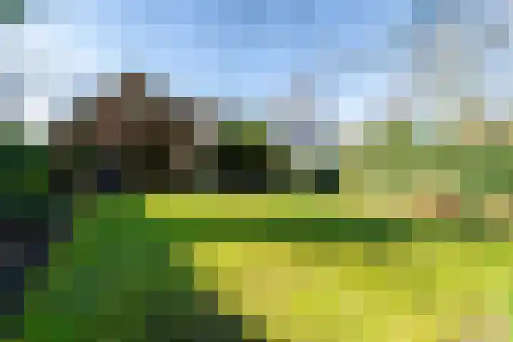Linge 20 a Tilburg thumbnail 42