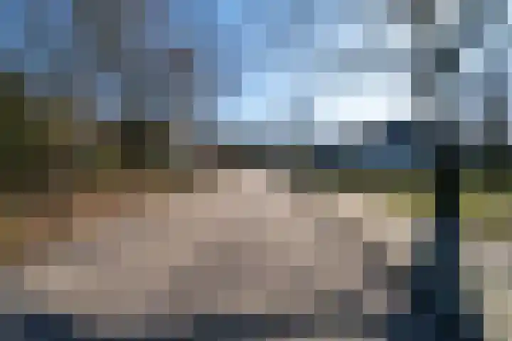 Linge 20 a Tilburg thumbnail 5