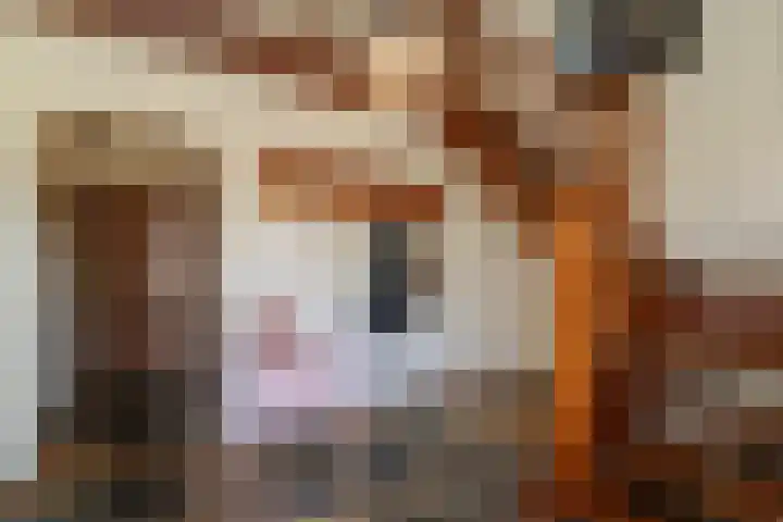 Linge 20 a Tilburg thumbnail 8