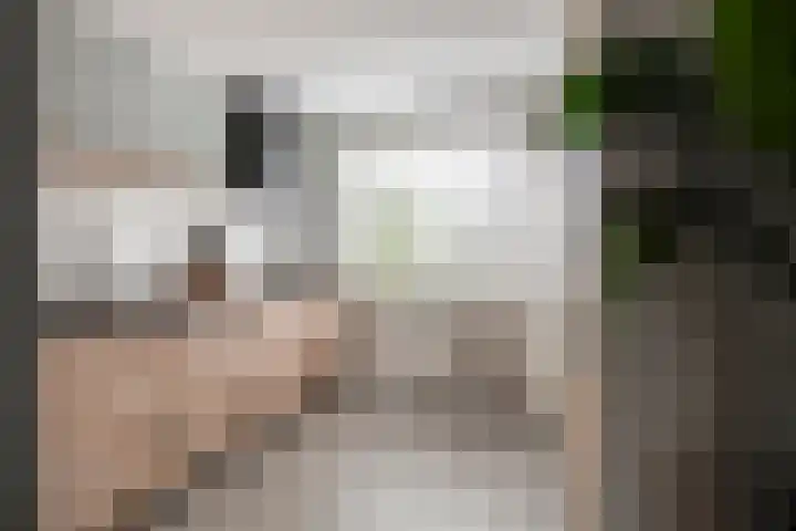 Linge 29 Wijk bij Duurstede thumbnail 10