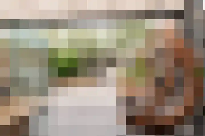 Linge 29 Wijk bij Duurstede thumbnail 14