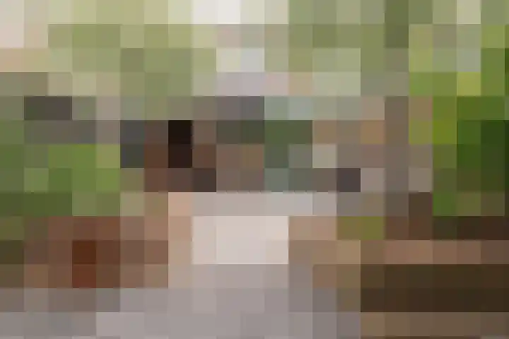 Linge 29 Wijk bij Duurstede thumbnail 19