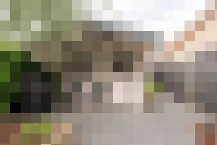 Linge 29 Wijk bij Duurstede thumbnail 20