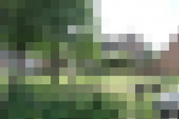 Linge 29 Wijk bij Duurstede thumbnail 34