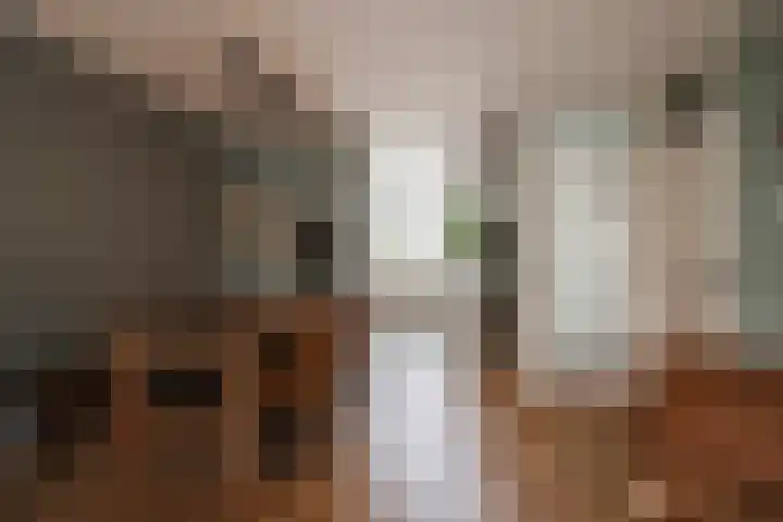 Linge 29 Wijk bij Duurstede thumbnail 9