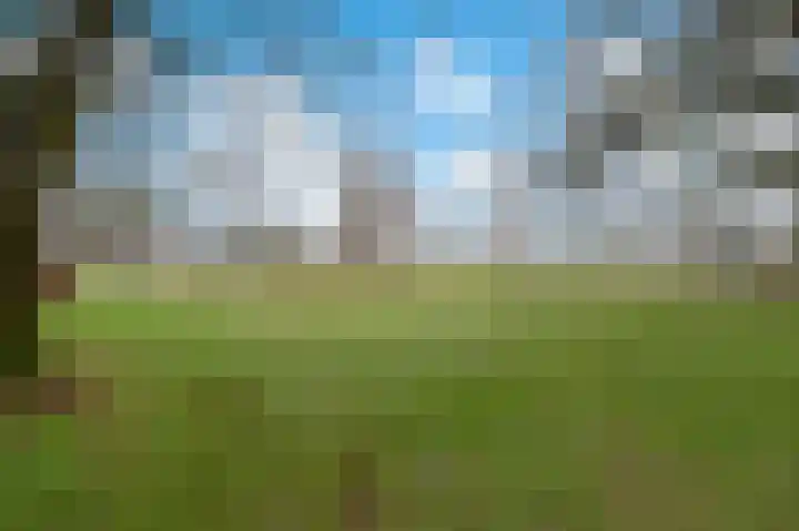 Linge 3 Apeldoorn thumbnail 26