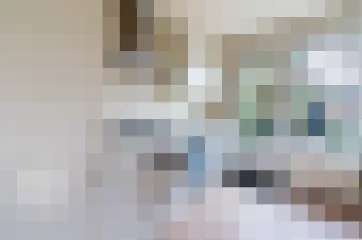 Linge 3 Apeldoorn thumbnail 8