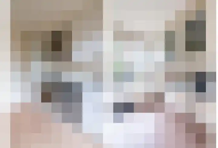 Linge 3 Apeldoorn thumbnail 9