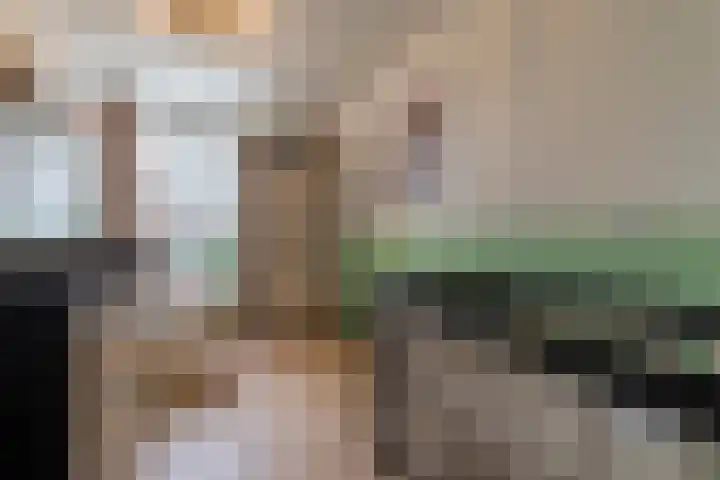 Linge 31 Veenendaal thumbnail 16