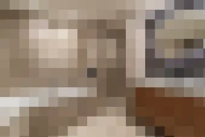 Linge 31 Veenendaal thumbnail 21