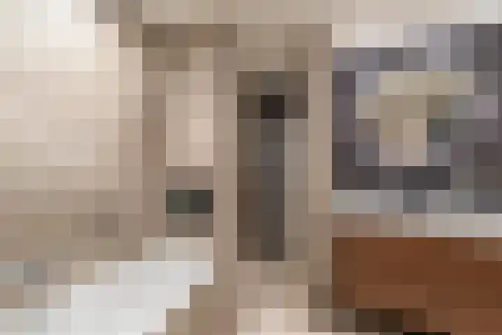 Linge 31 Veenendaal thumbnail 22