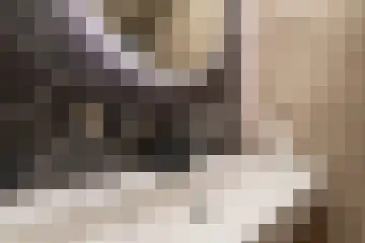 Linge 31 Veenendaal thumbnail 25