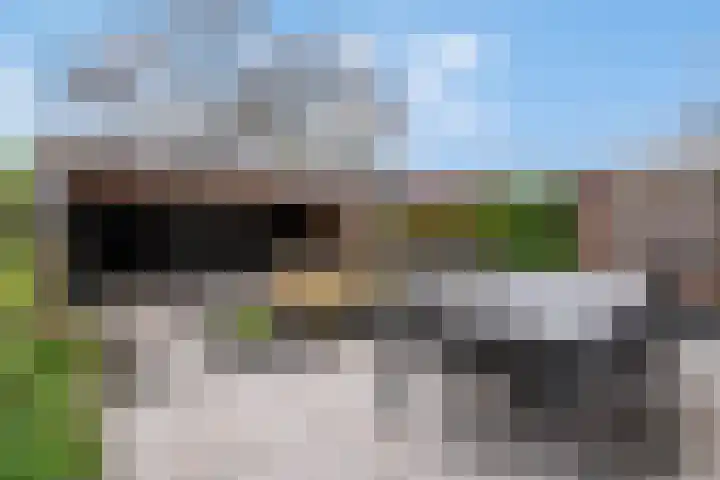 Linge 31 Veenendaal thumbnail 30