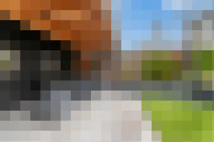 Linge 31 Veenendaal thumbnail 32