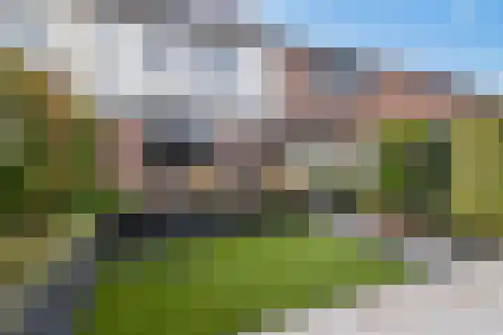 Linge 31 Veenendaal thumbnail 34