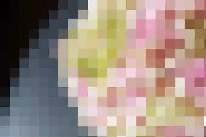 Linge Singel 19 Lienden thumbnail 10