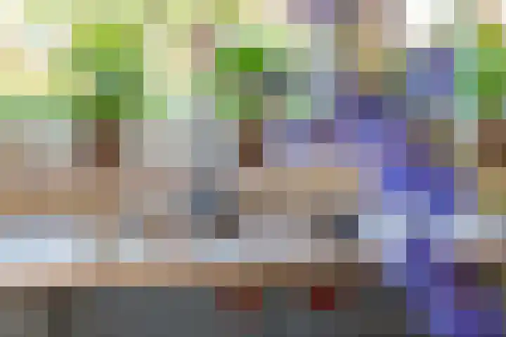 Linge Singel 19 Lienden thumbnail 18