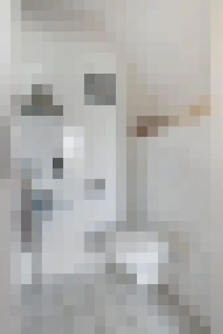 Linge Singel 19 Lienden thumbnail 23