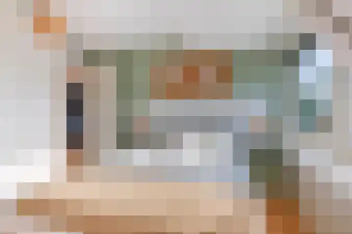 Linge Singel 19 Lienden thumbnail 27