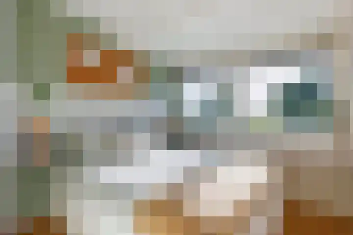 Linge Singel 19 Lienden thumbnail 28