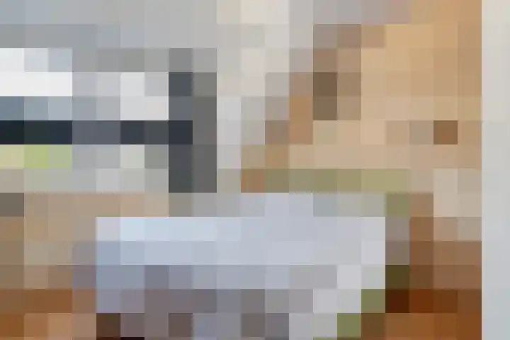 Linge Singel 19 Lienden thumbnail 29