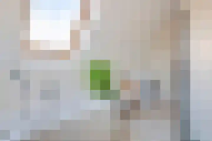 Linge Singel 19 Lienden thumbnail 32