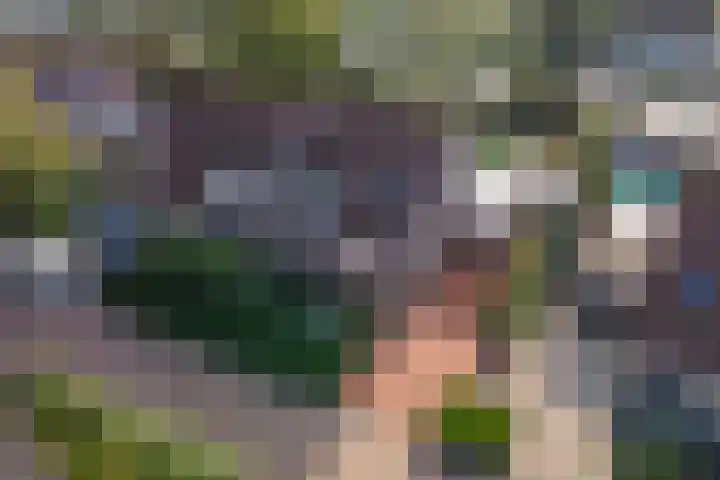 Linge Singel 19 Lienden thumbnail 34