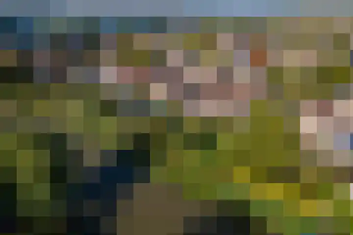 Linge Singel 19 Lienden thumbnail 37