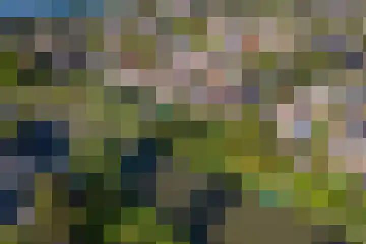 Linge Singel 19 Lienden thumbnail 38