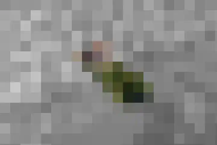 Linge Singel 19 Lienden thumbnail 4