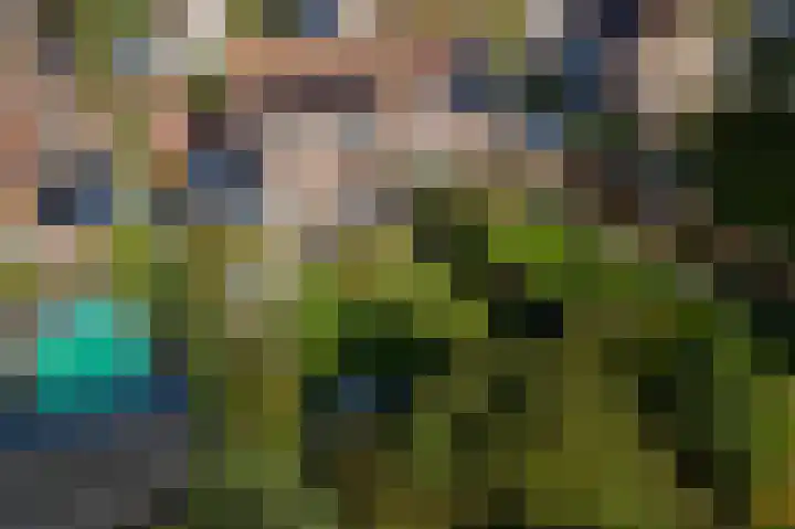Linge Singel 19 Lienden thumbnail 41
