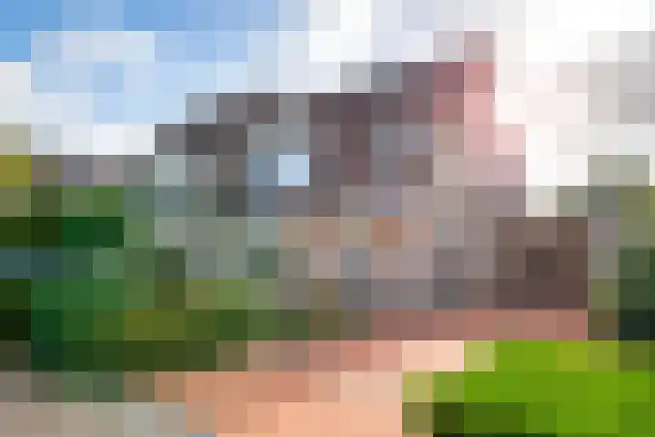 Linge Singel 19 Lienden thumbnail 43