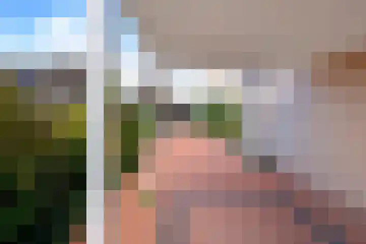 Linge Singel 19 Lienden thumbnail 44