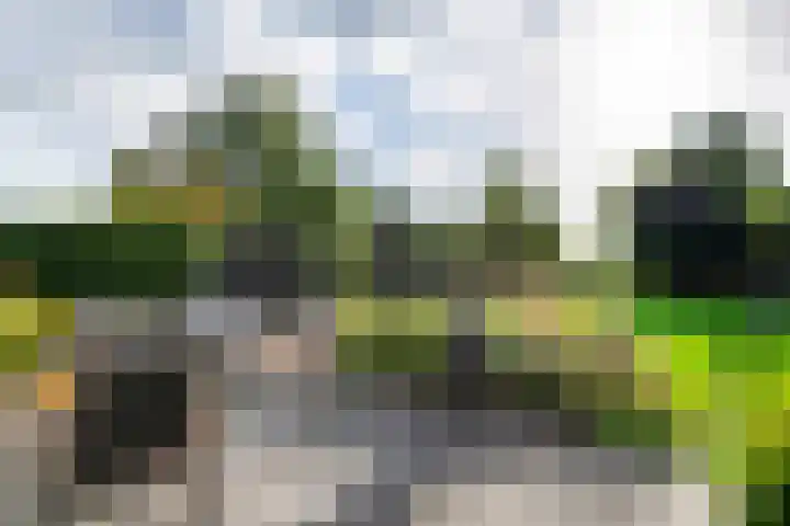 Linge Singel 19 Lienden thumbnail 46