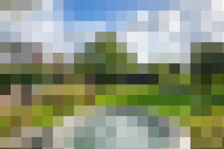 Linge Singel 19 Lienden thumbnail 47