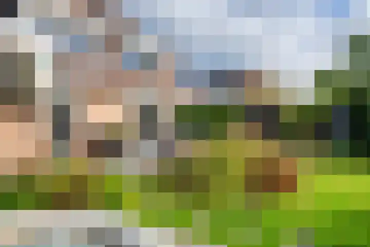 Linge Singel 19 Lienden thumbnail 48