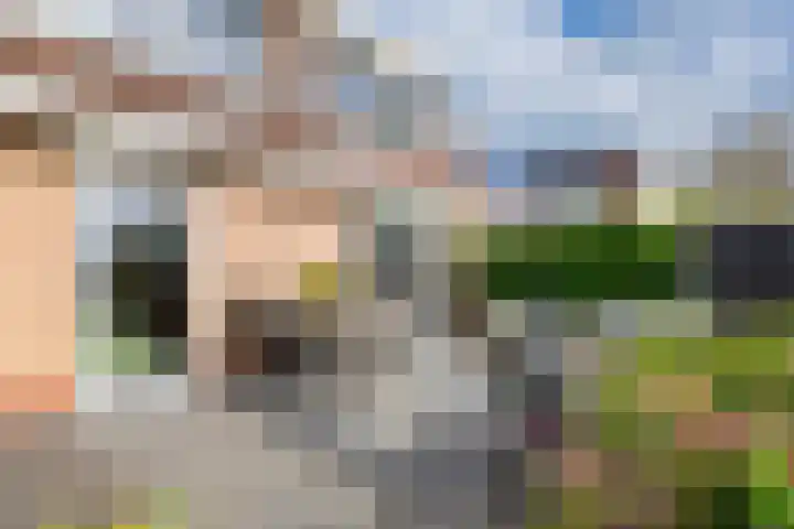 Linge Singel 19 Lienden thumbnail 49