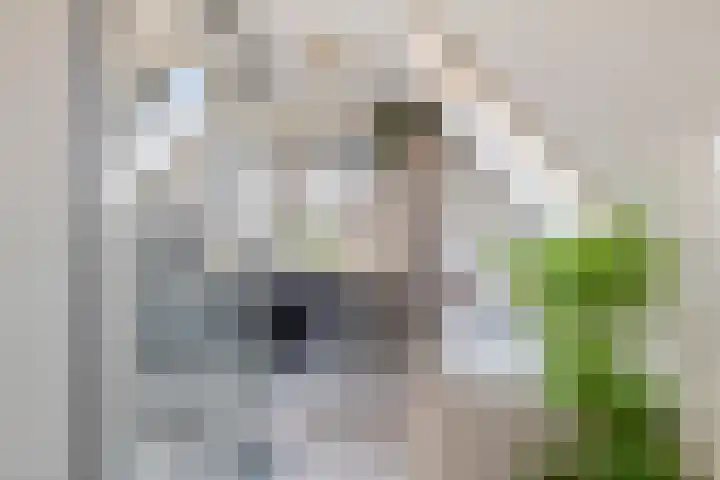Linge Singel 19 Lienden thumbnail 5