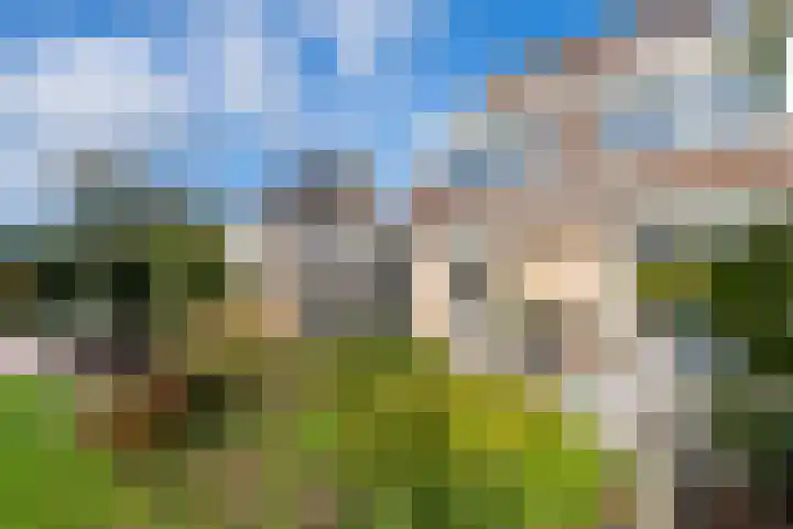 Linge Singel 19 Lienden thumbnail 51