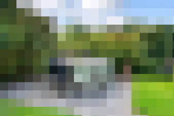 Linge Singel 19 Lienden thumbnail 53