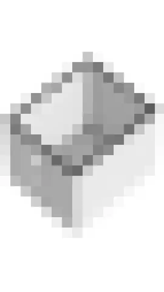 Linge Singel 19 Lienden thumbnail 64