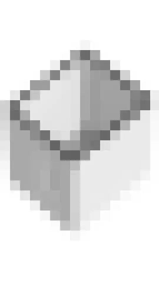 Linge Singel 19 Lienden thumbnail 66